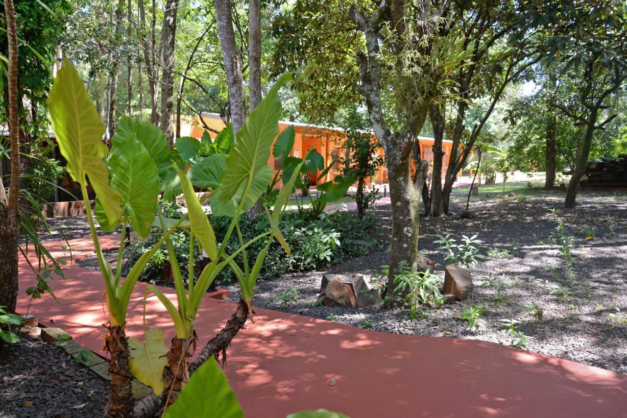 Posada Del Chaman Iguazu 푸에르토이과수 외부 사진